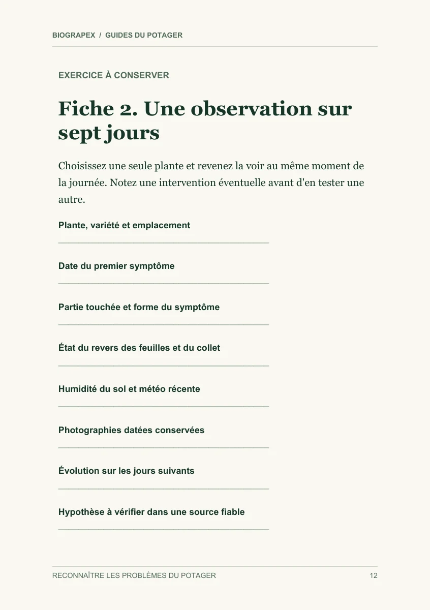 Fiche pratique du guide Reconnaître les problèmes du potager