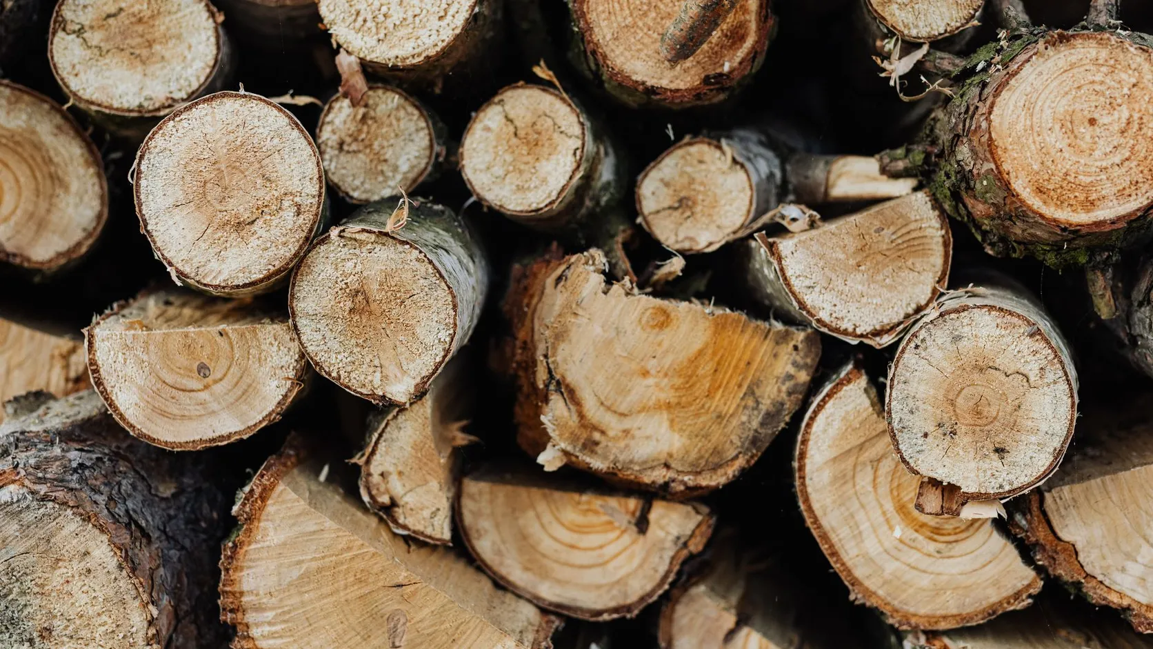 Bûches de bois de chauffage empilées, vues de face